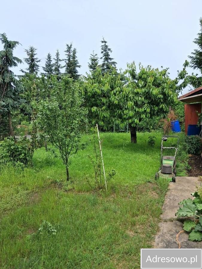 Działka rod Toruń Rudak. Zdjęcie 8