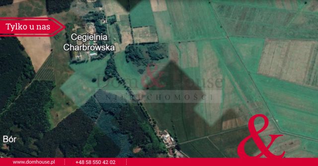 Działka siedliskowa Krakulice. Zdjęcie 12