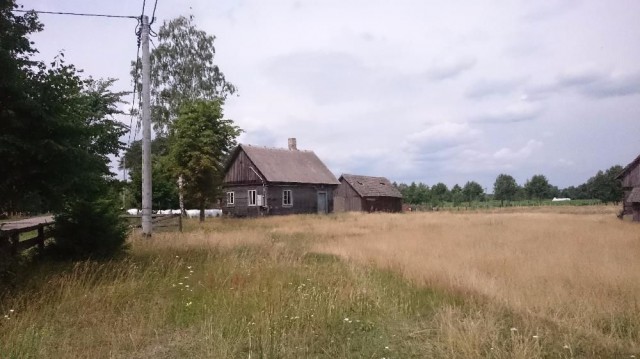 Działka rolno-budowlana Pełty. Zdjęcie 1