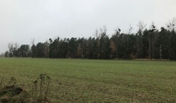 Działka rolna Konarskie