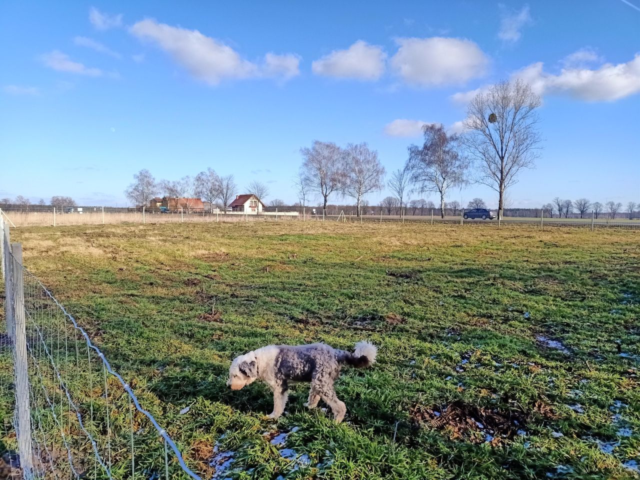 Działka rolno-budowlana Drołtowice. Zdjęcie 10