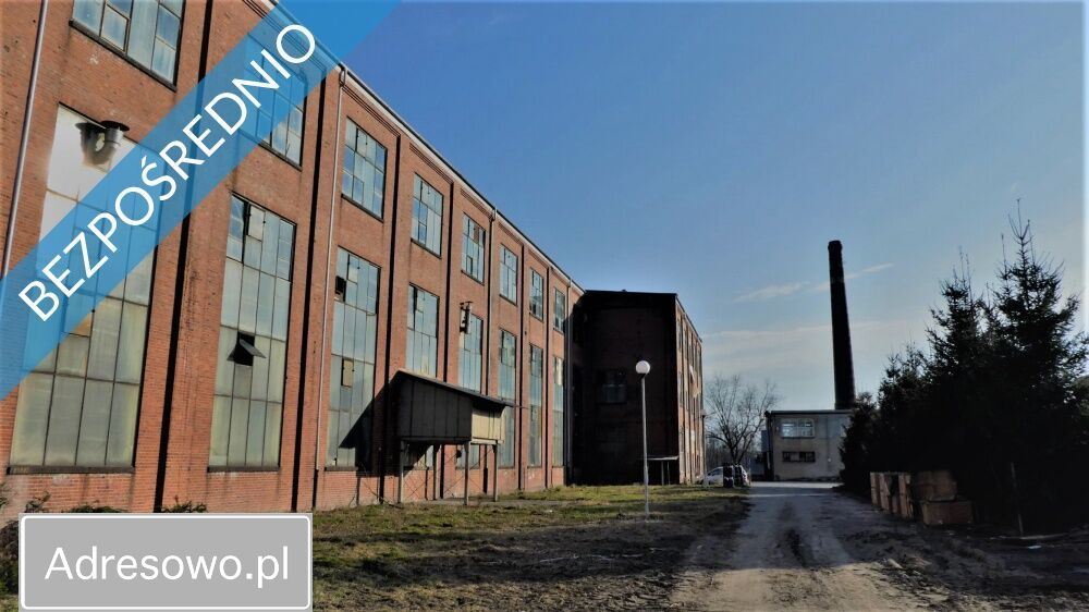 Hala/magazyn Ciechów. Zdjęcie 3