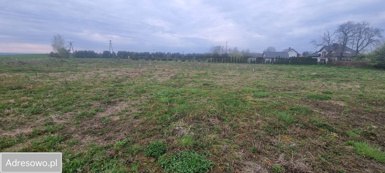 Działka budowlana Wińsko. Zdjęcie 4