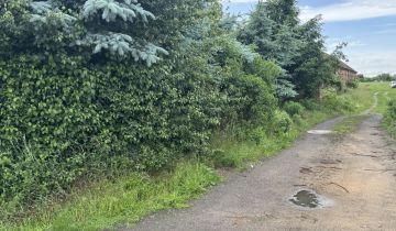 gospodarstwo Szprotawa, ul. Kopernika