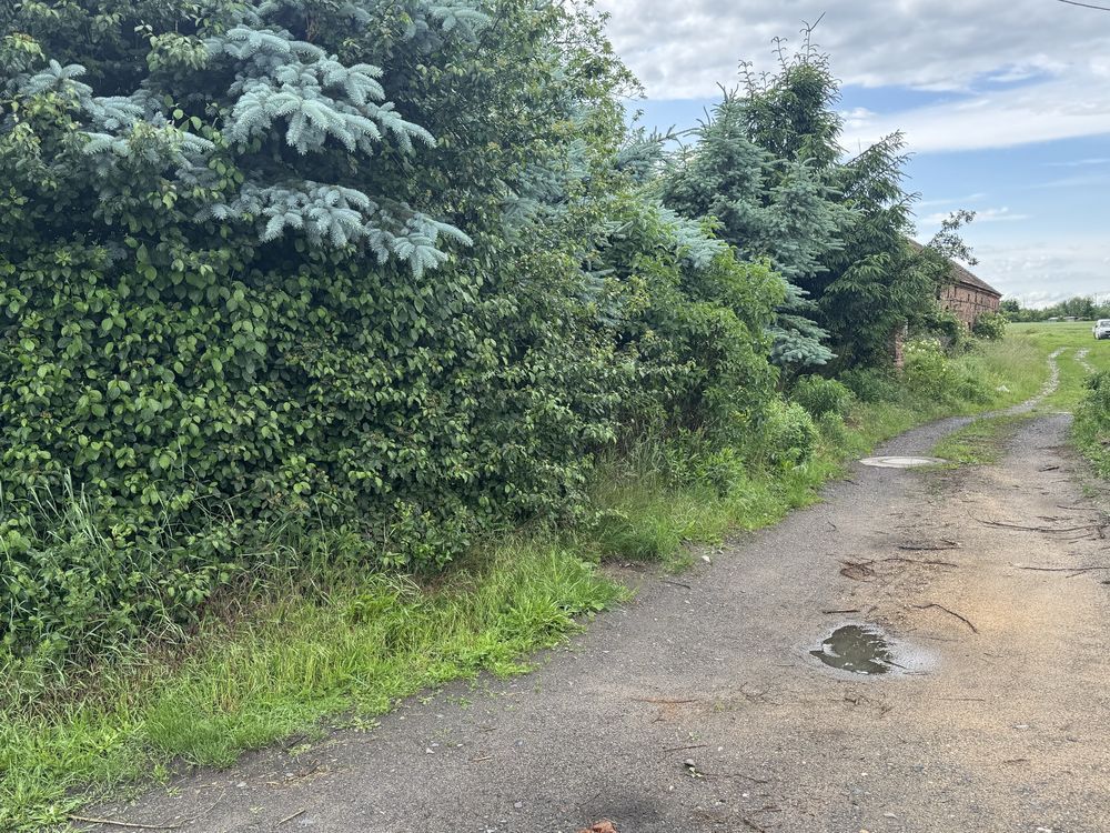 gospodarstwo Szprotawa, ul. Kopernika. Zdjęcie 2