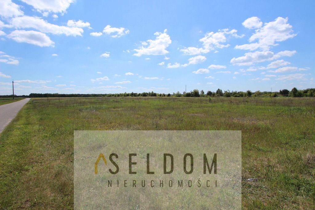 Działka budowlana Kuny. Zdjęcie 5