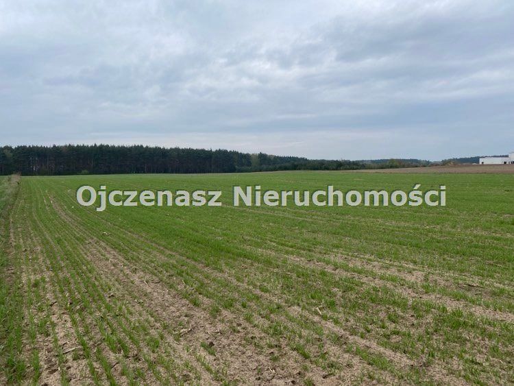 Działka Strzelce Górne