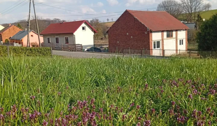 dom wolnostojący, 3 pokoje Radoszowy, ul. Główna