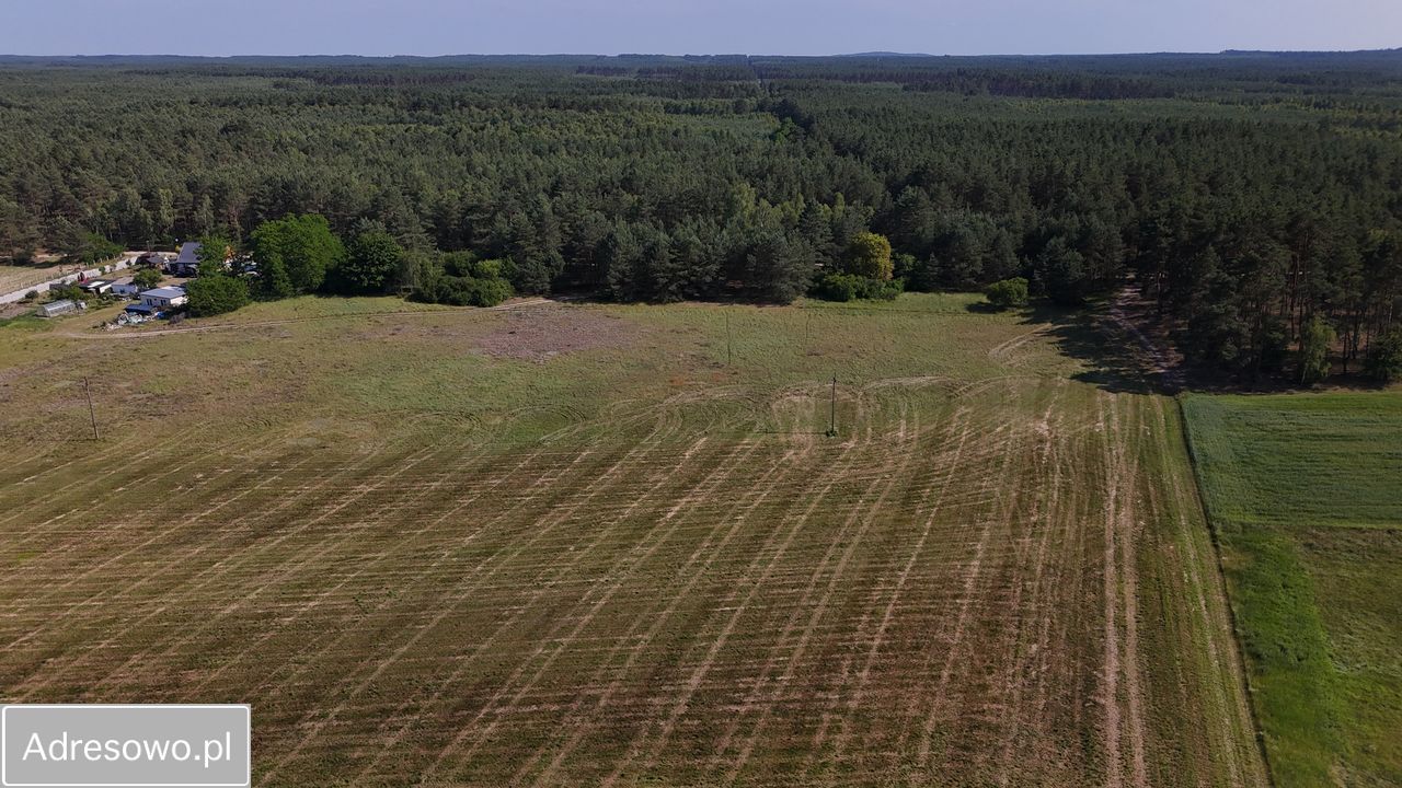 Działka rolno-budowlana Zazdrość. Zdjęcie 7
