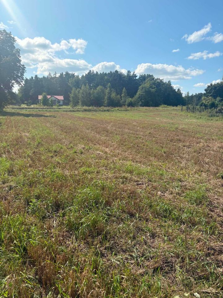 Działka budowlana Stary Sumin. Zdjęcie 4