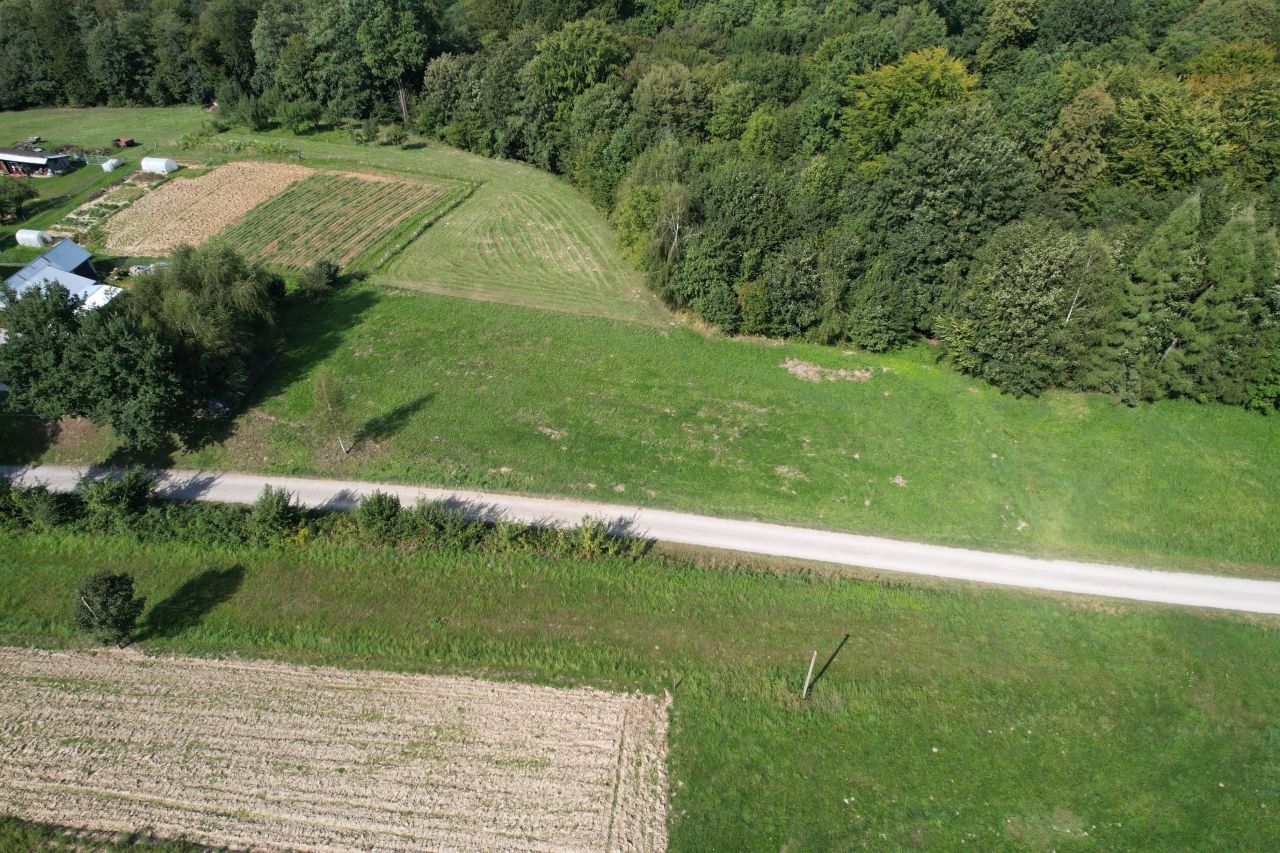 Działka budowlana Bierówka Podlas. Zdjęcie 2