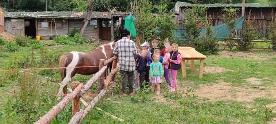 siedlisko, 3 pokoje Lubomierz, milęcice. Zdjęcie 13