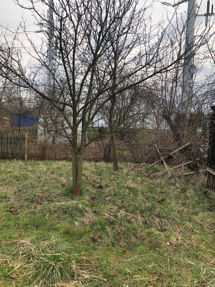 Działka rod Wieluń. Zdjęcie 4