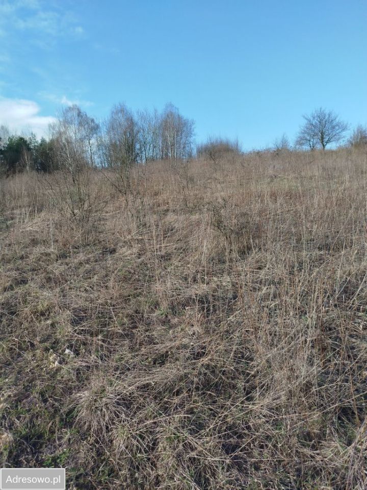 Działka budowlana Chruszczobród, ul. Gawronówka. Zdjęcie 7
