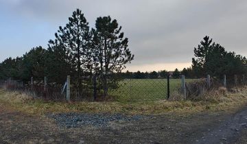 Działka siedliskowa Bogdaszowice, ul. Wiśniowa