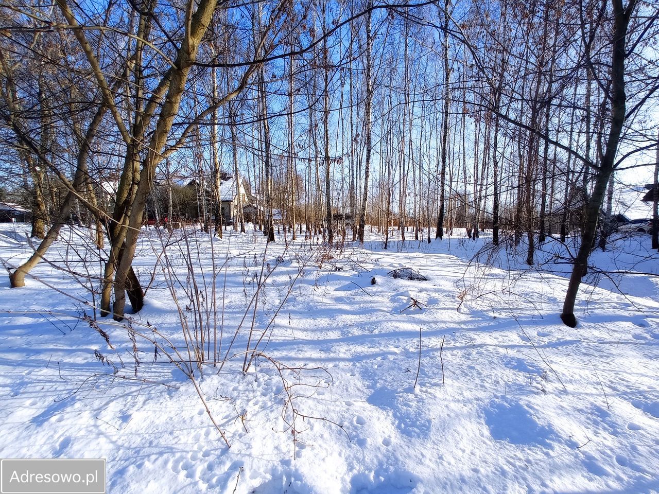 Działka budowlana Wyględy, ul. Dębowa. Zdjęcie 2