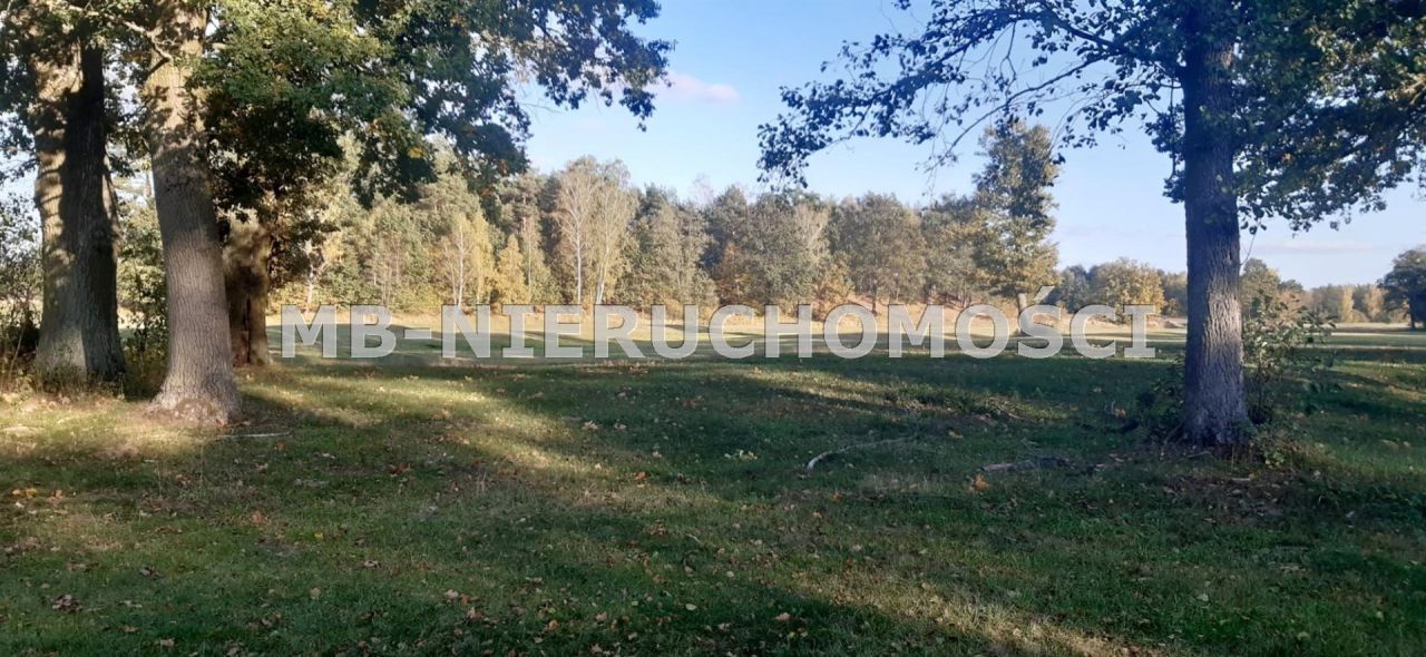 Działka rolna Nowosiedliny. Zdjęcie 2