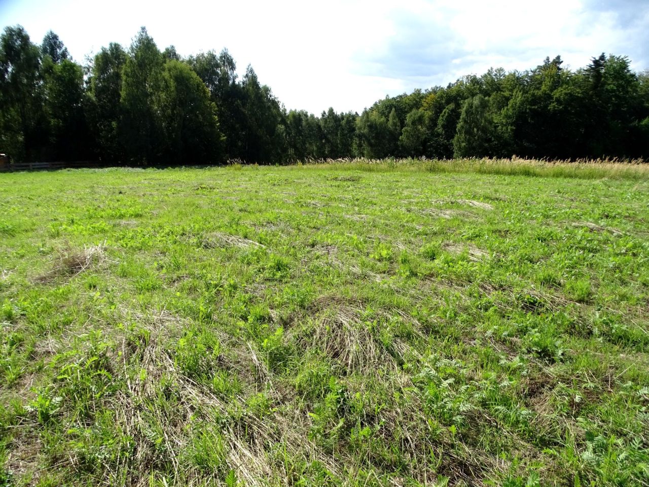 Działka budowlana Połomia. Zdjęcie 14