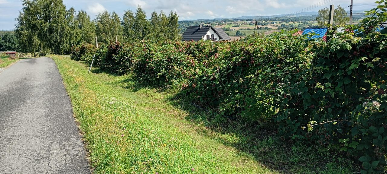 Działka budowlana Tymowa Nagórze. Zdjęcie 3