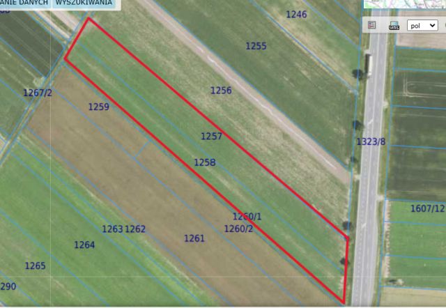 Działka inwestycyjna Skołoszów, ul. Przemyska. Zdjęcie 1