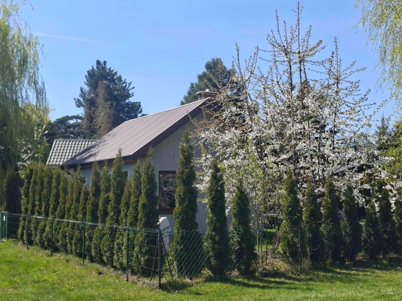 Działka rod Kalisz. Zdjęcie 4