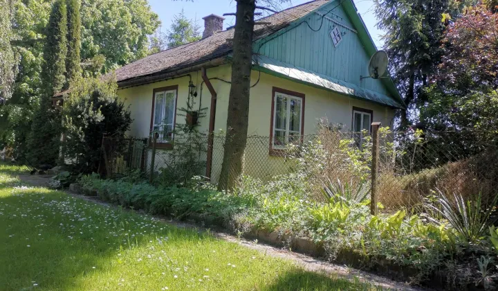 Działka siedliskowa Krzak