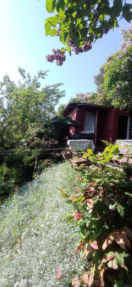 Działka rod Gniezno, ul. prof. Józefa Kostrzewskiego. Zdjęcie 3