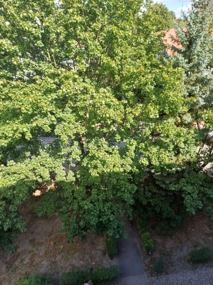 Mieszkanie 1-pokojowe Ostrowiec Świętokrzyski. Zdjęcie 5