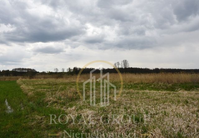 Działka rolna Giżyce. Zdjęcie 4