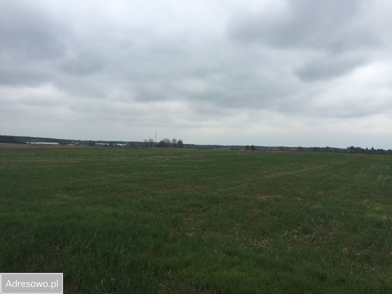 Działka budowlana Łowyń. Zdjęcie 6