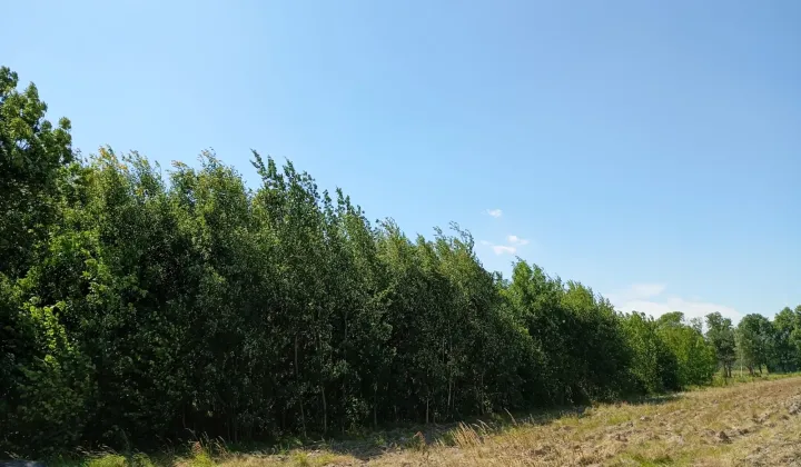 Działka budowlana Mokra Lewa