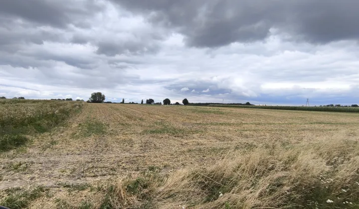 Działka budowlana Zalesie