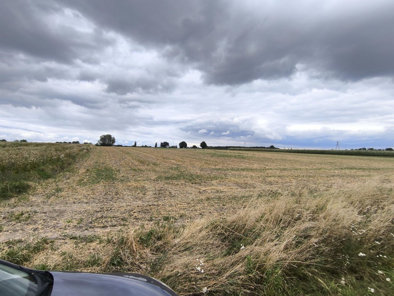 Działka budowlana Zalesie