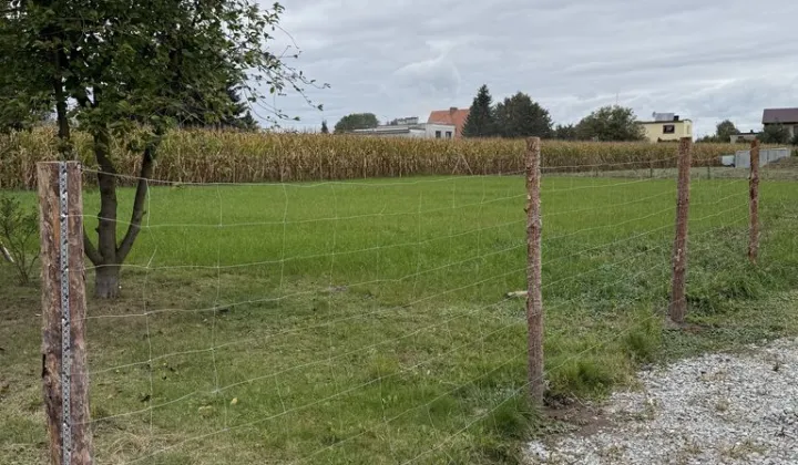 Działka rolna Krzyżanowice, ul. Kolejowa