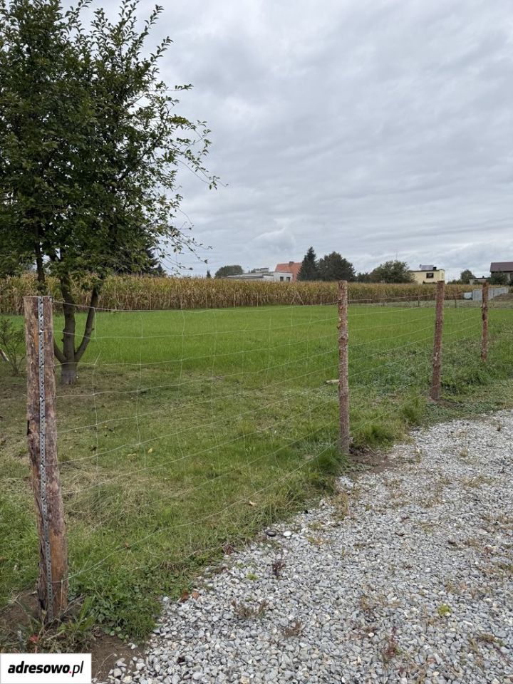 Działka rolna Krzyżanowice, ul. Kolejowa. Zdjęcie 1