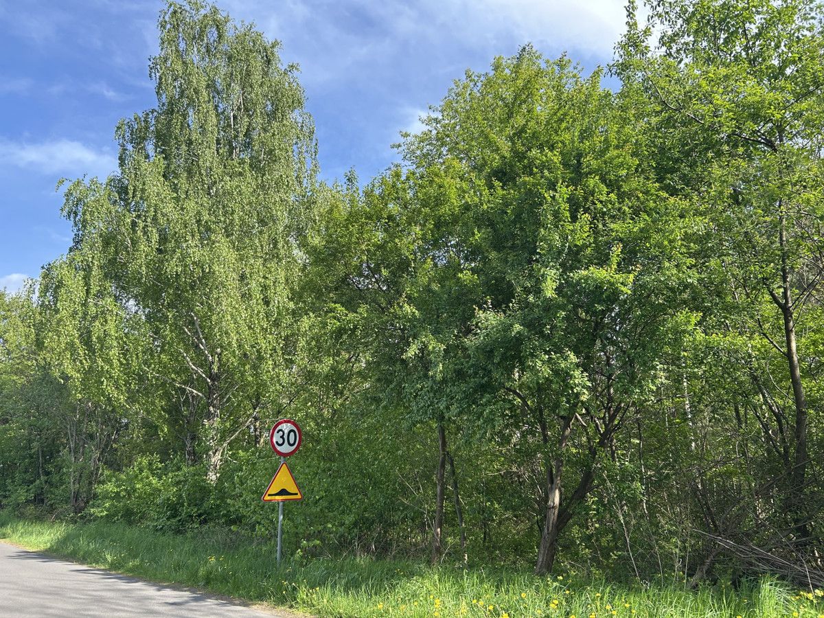 Działka budowlana Kolonia Ldzań. Zdjęcie 3