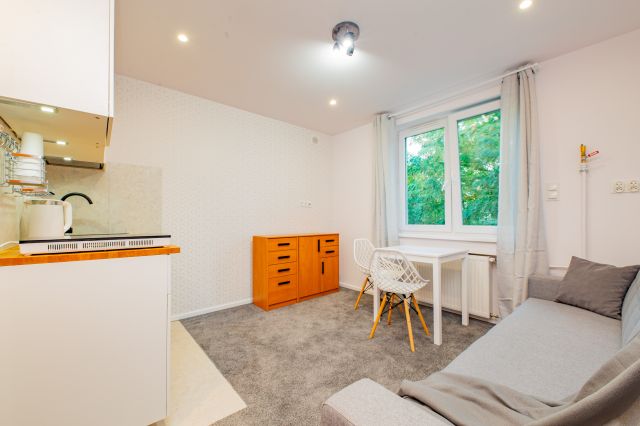 Mieszkanie 1-pokojowe Wrocław Stare Miasto, ul. Słubicka. Zdjęcie 1