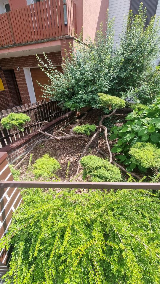 dom szeregowy, 6 pokoi Jarocin, ul. Kwiatowa. Zdjęcie 34