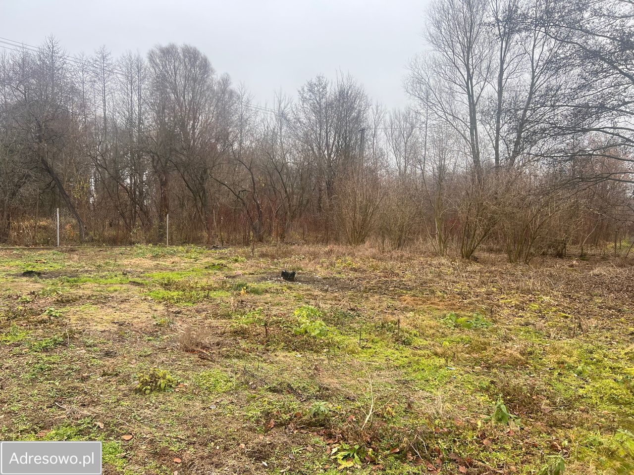 Działka budowlana Klusek. Zdjęcie 1