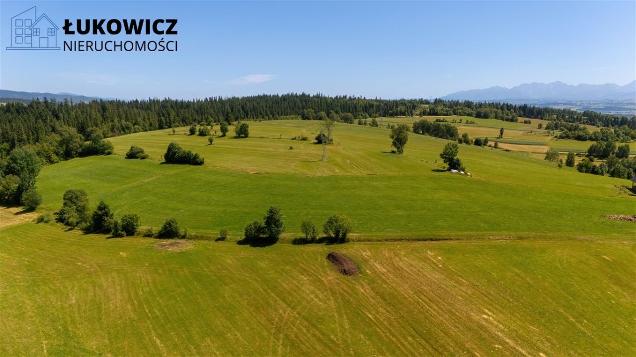 Działka leśna Pieniążkowice. Zdjęcie 12