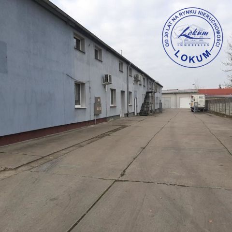 Lokal Leszno. Zdjęcie 3