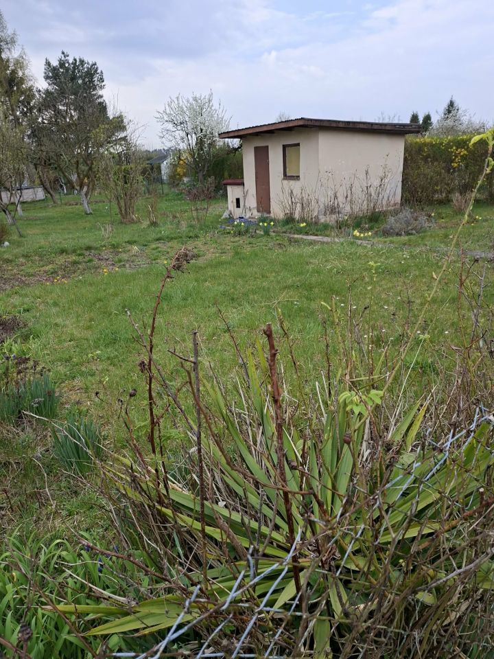 Działka rod Lubin Przylesie, Gajowa. Zdjęcie 6