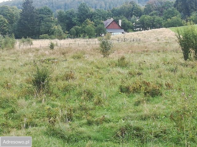 Działka budowlana Jelenia Góra Jagniątków, ul. Michałowicka. Zdjęcie 1