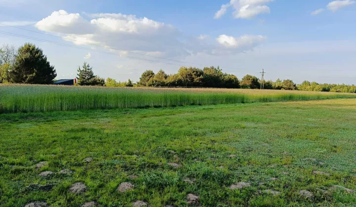 Działka budowlana Bibianów