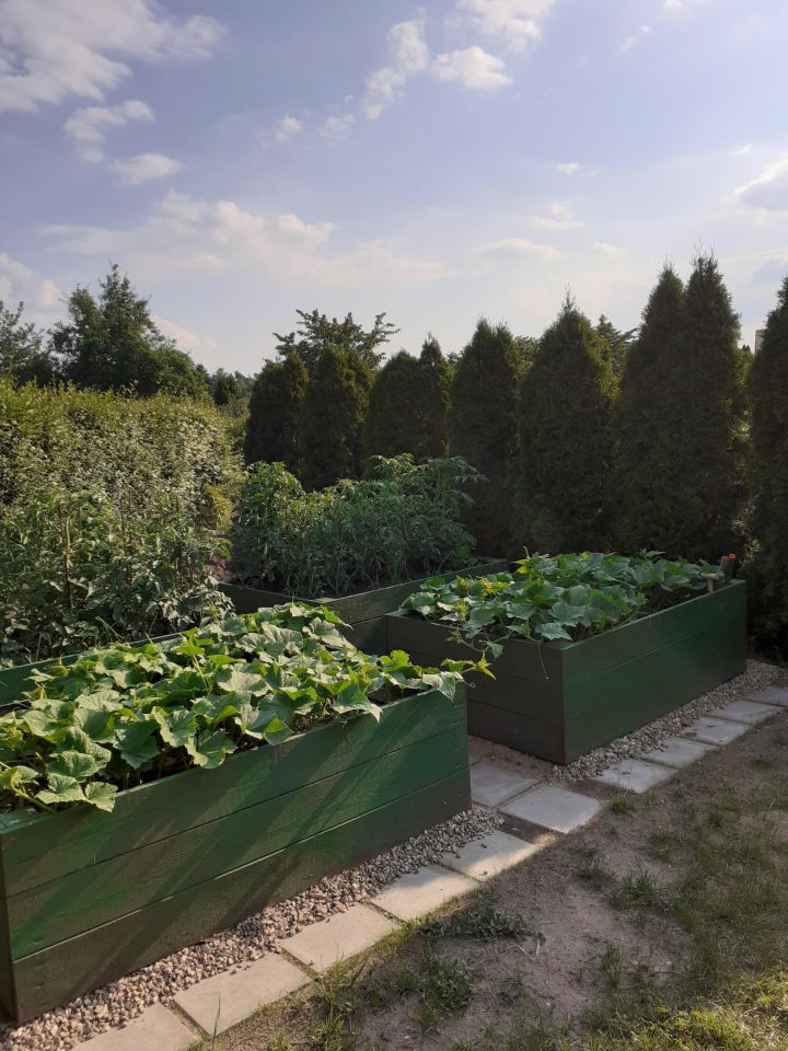 Działka rod Osiek. Zdjęcie 7