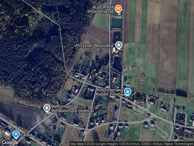 Działka rolno-budowlana Borówno. Zdjęcie 1