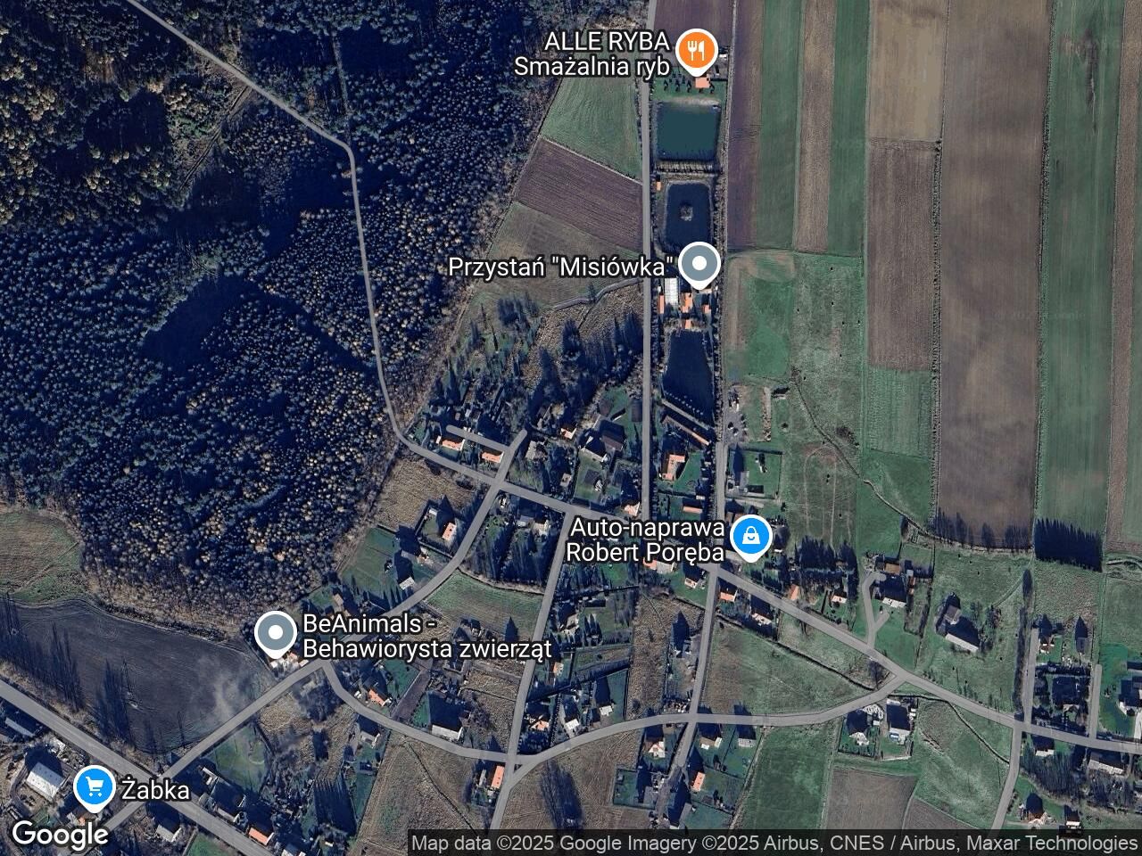 Działka rolno-budowlana Borówno