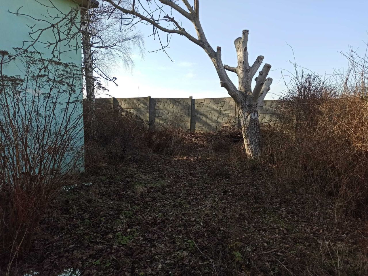 Działka rod Gliwice Stare Gliwice. Zdjęcie 3