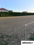 Działka budowlana Korczyna, ul. Akacjowa. Zdjęcie 3