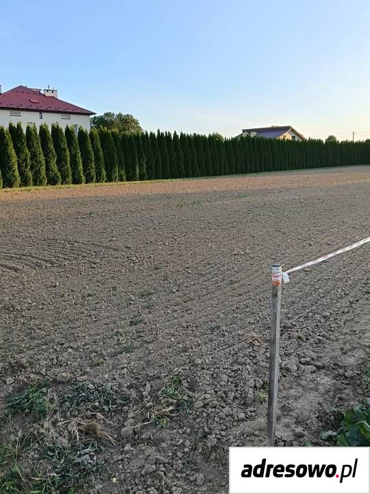 Działka budowlana Korczyna, ul. Akacjowa. Zdjęcie 4